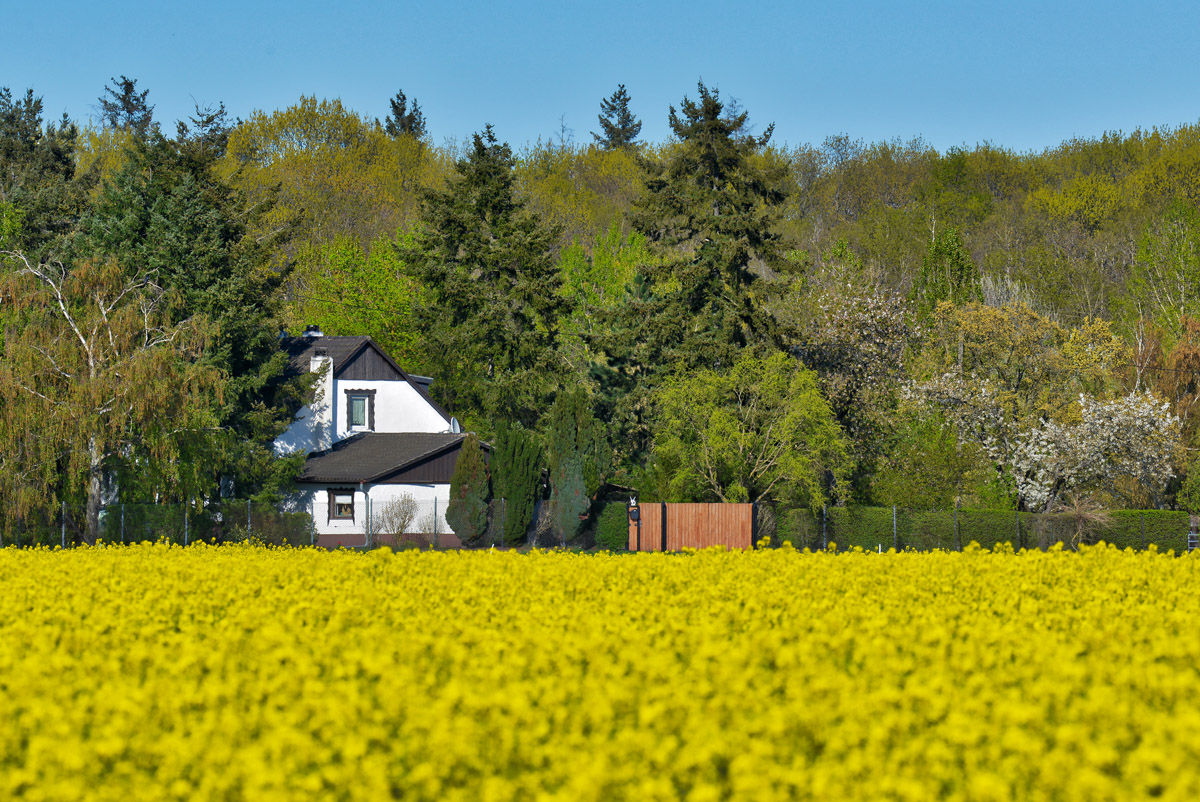 haus_am_rapsfeld_1200.jpg