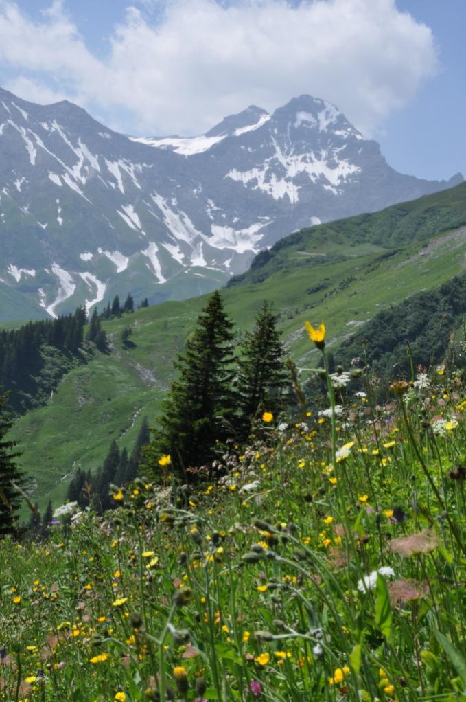 Hausstock