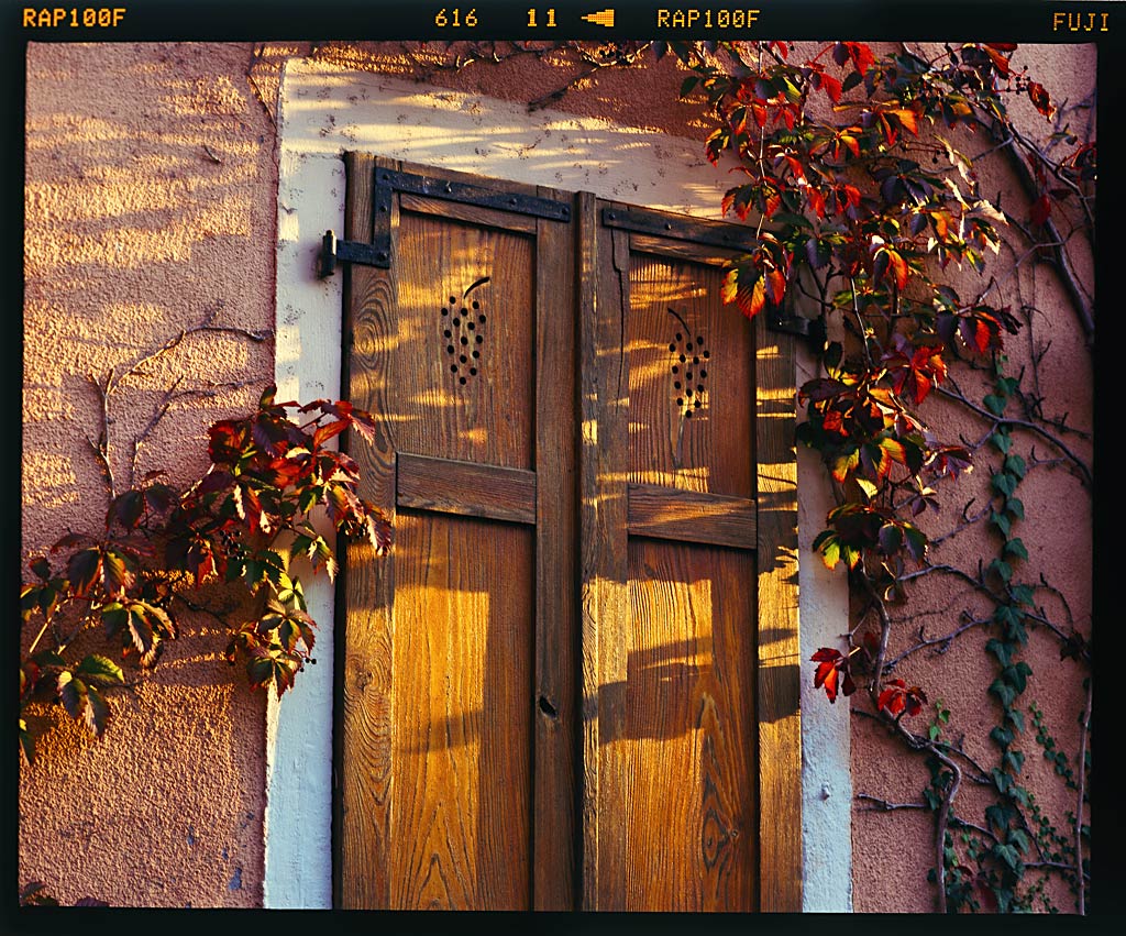 Hauswand im Herbst