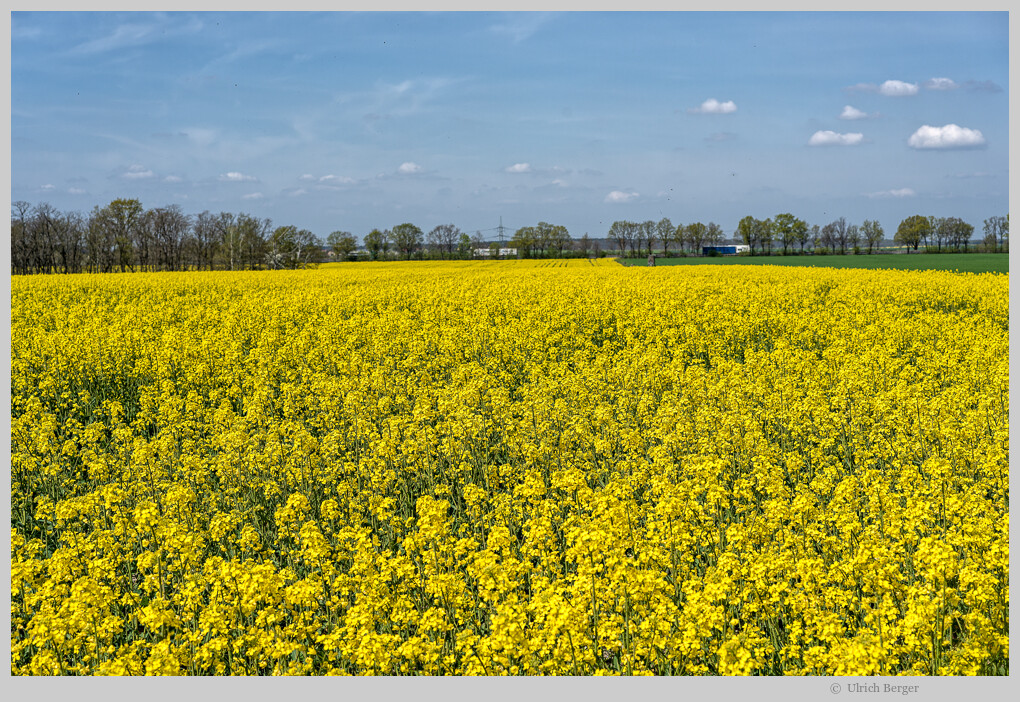 Havelland