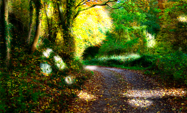 HDR Test mit höheren Kontrasten
Nikon D100