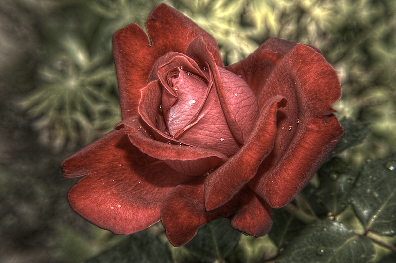 HDR2.1
