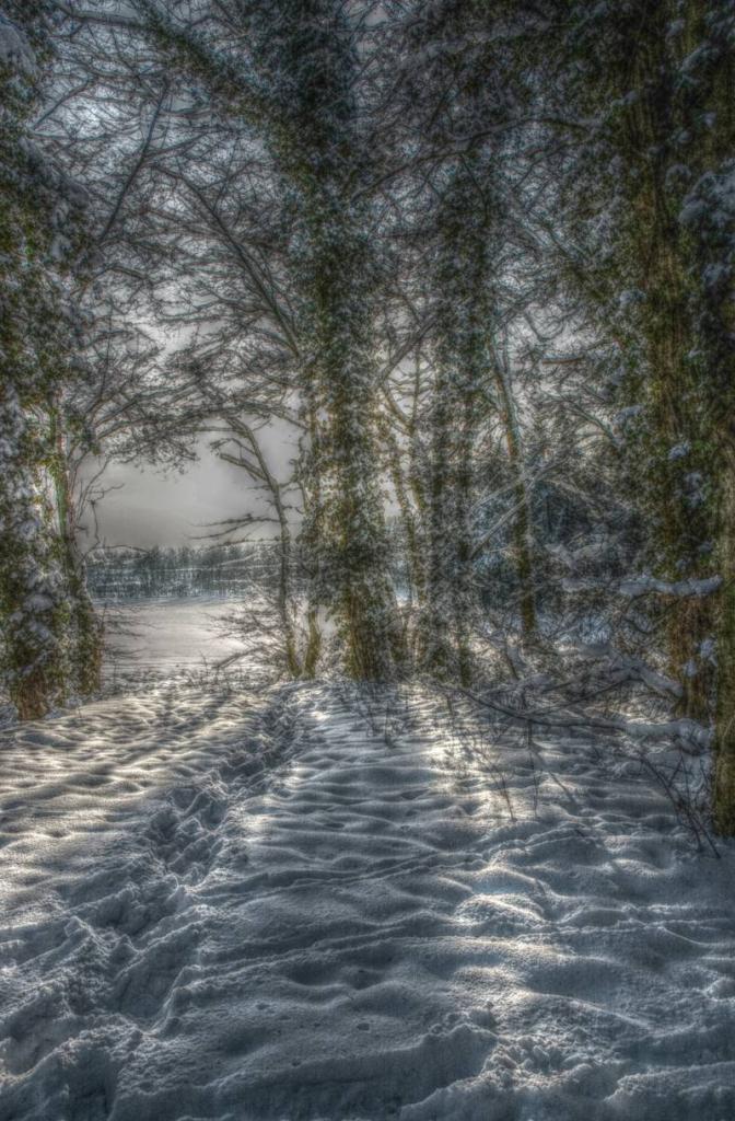 hdr3o