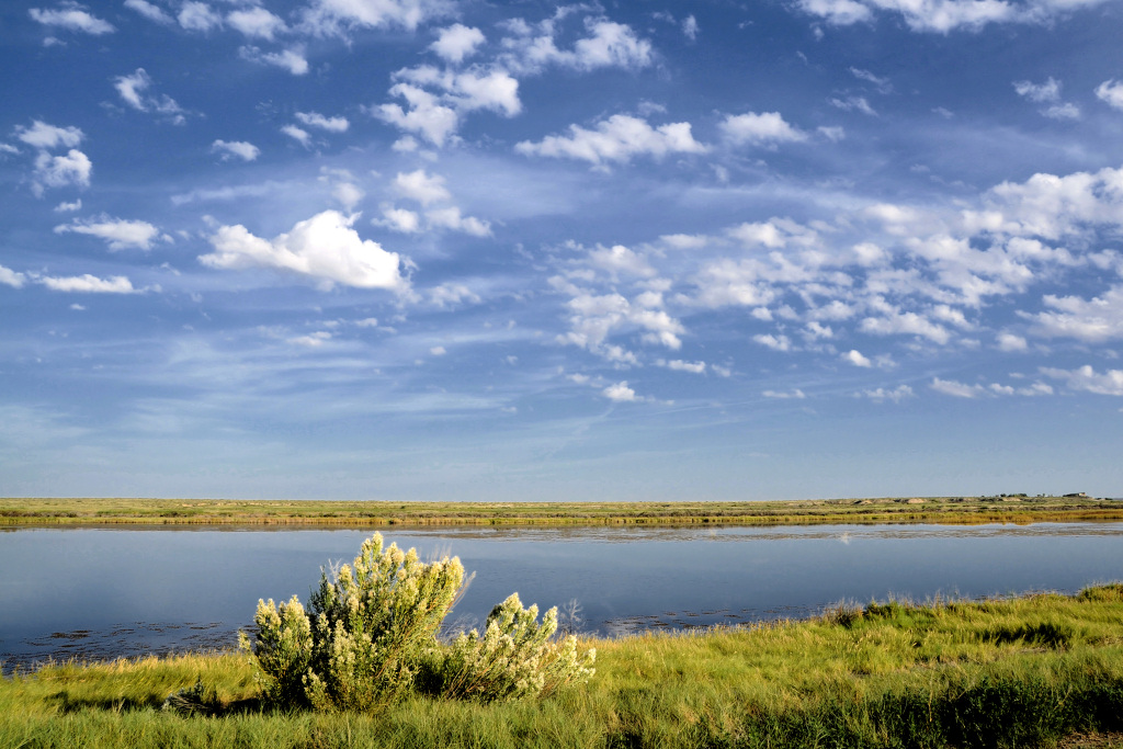 HED3112bitter lake