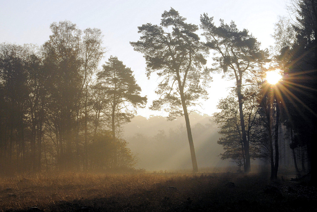 Heide 17 1
