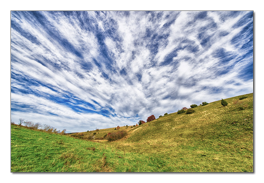 Heide1