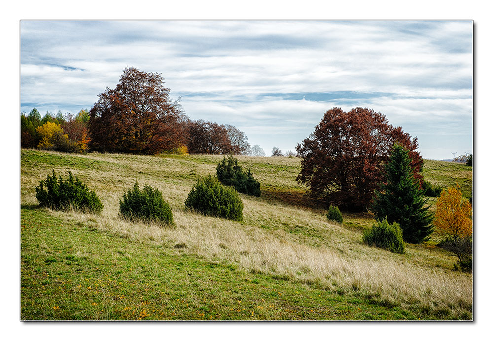 Heide2