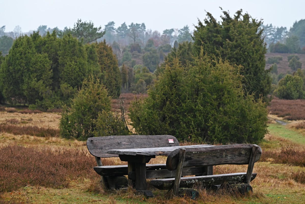 Heidebank 1.jpg