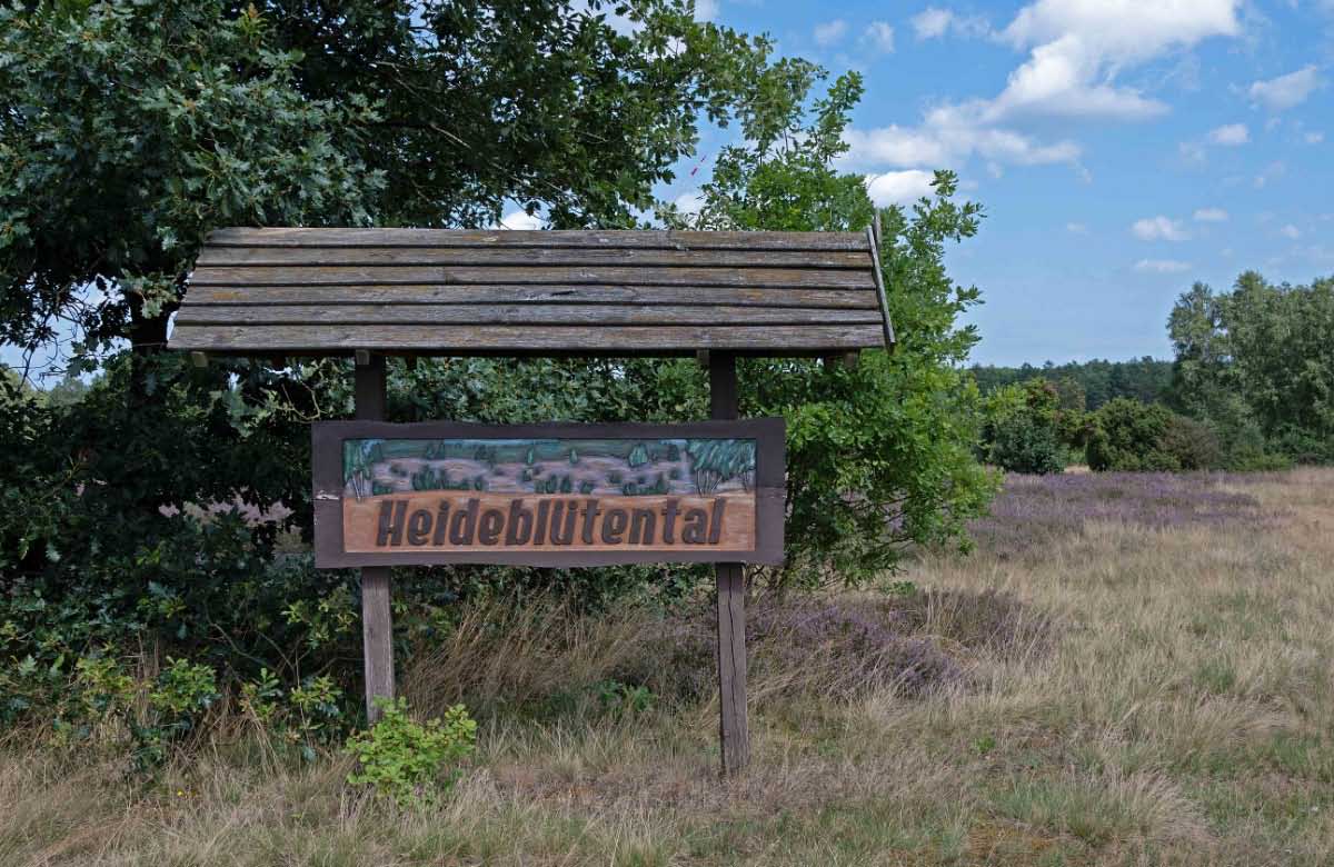 Heideblütental.jpg