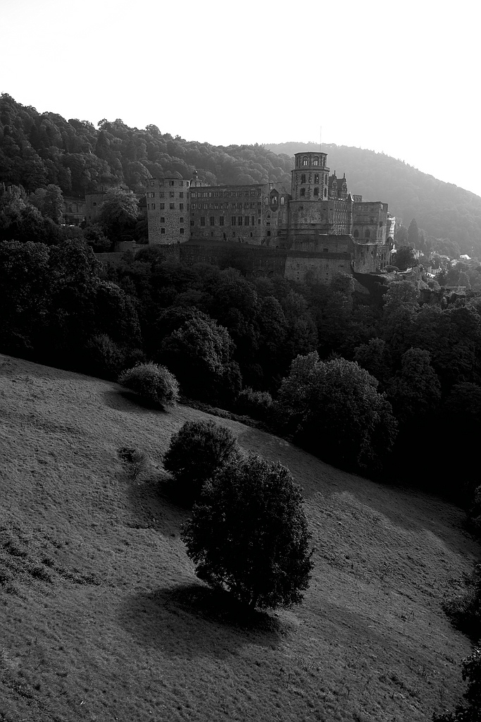 heidelberg DSCF9859