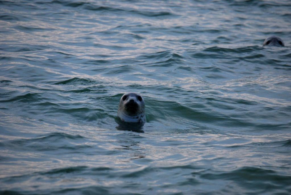 Helgoland