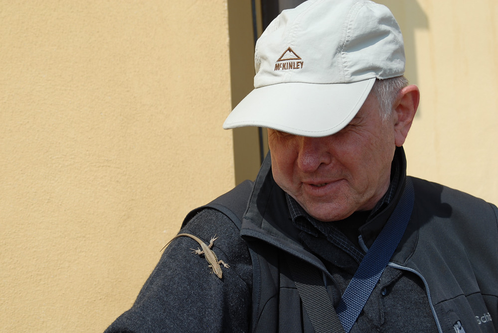 Herbert und Drache