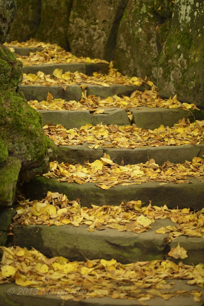 Herbst 001