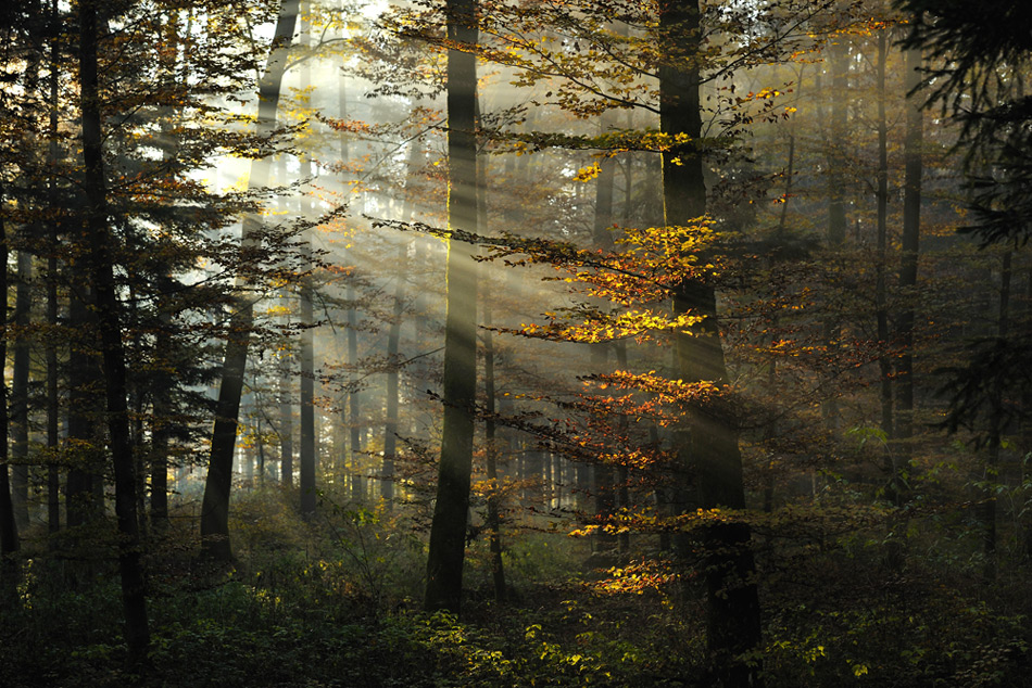 Herbst 001
