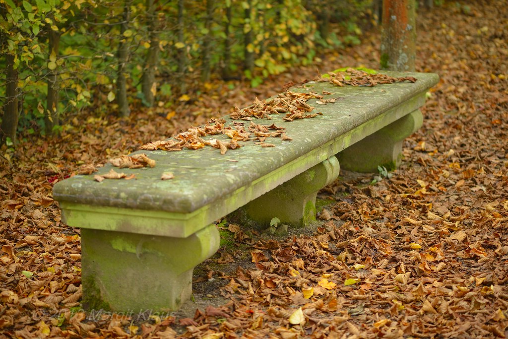 Herbst 006