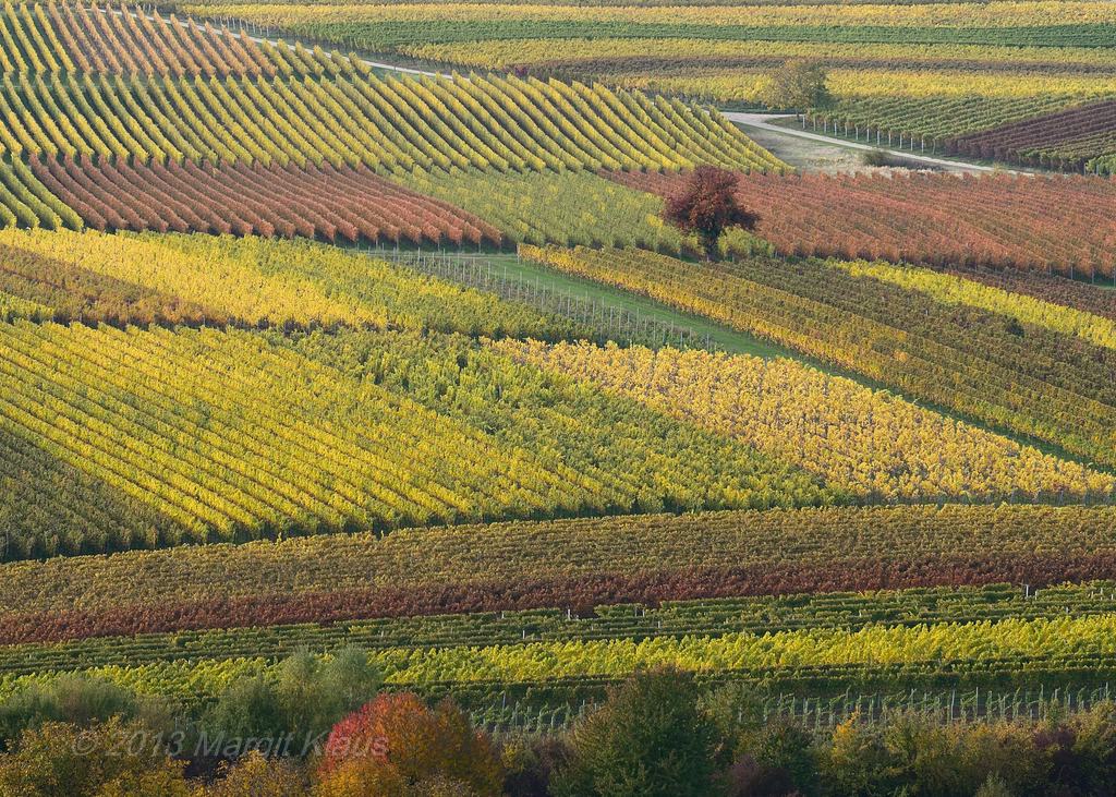 Herbst 007