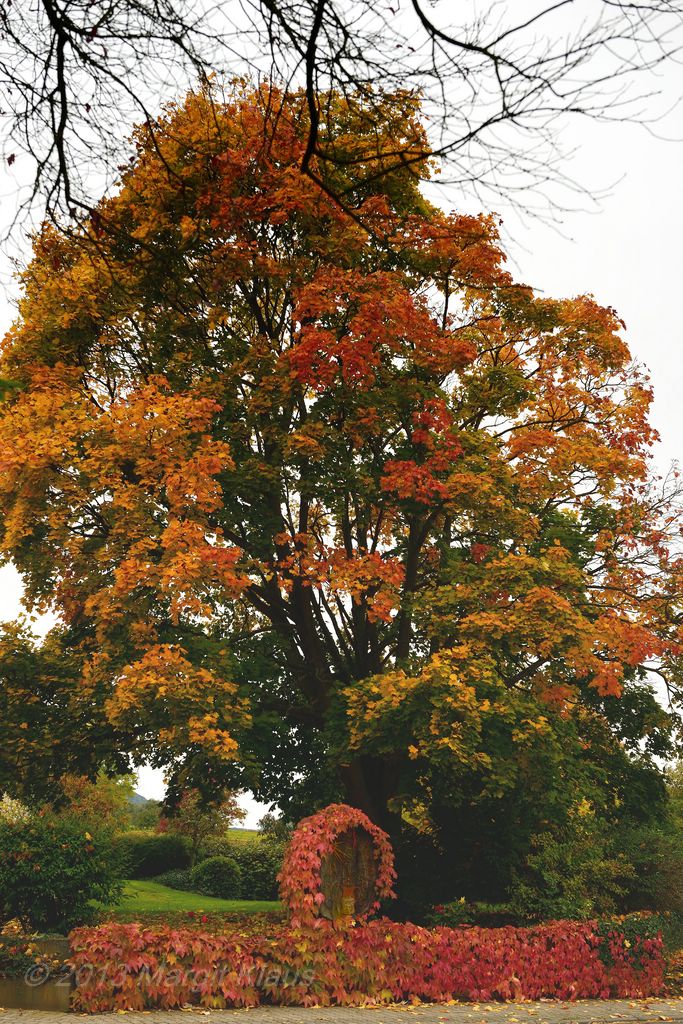 Herbst 008