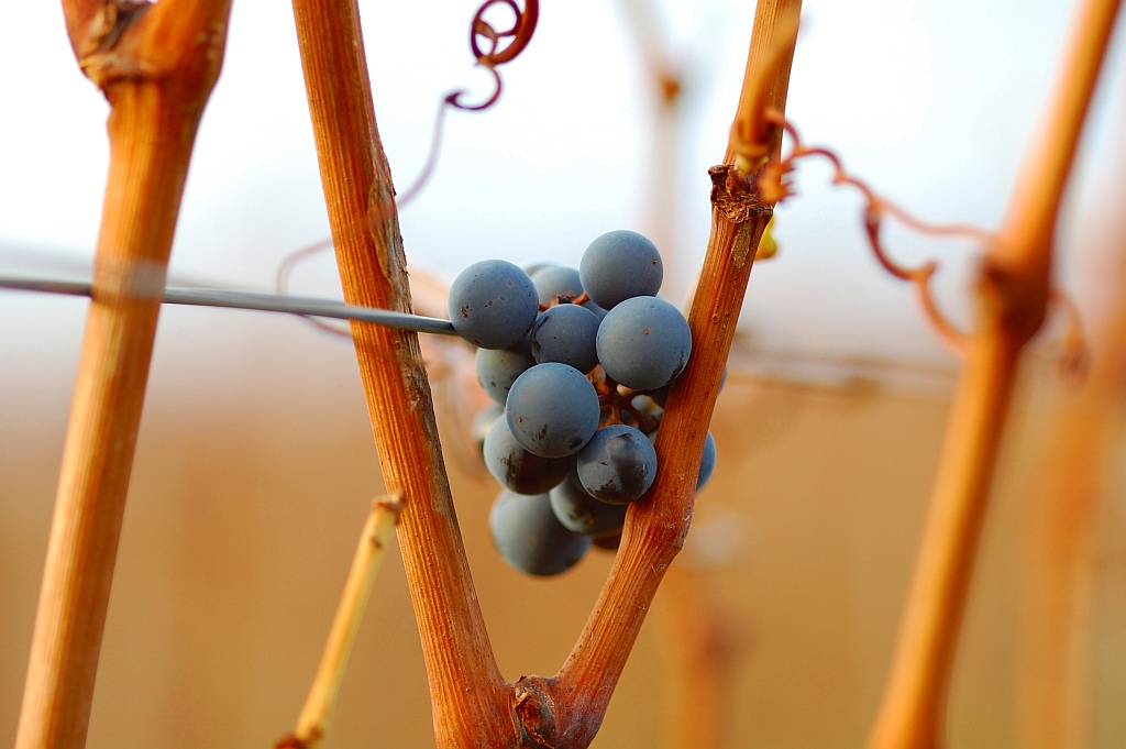 Herbst 01