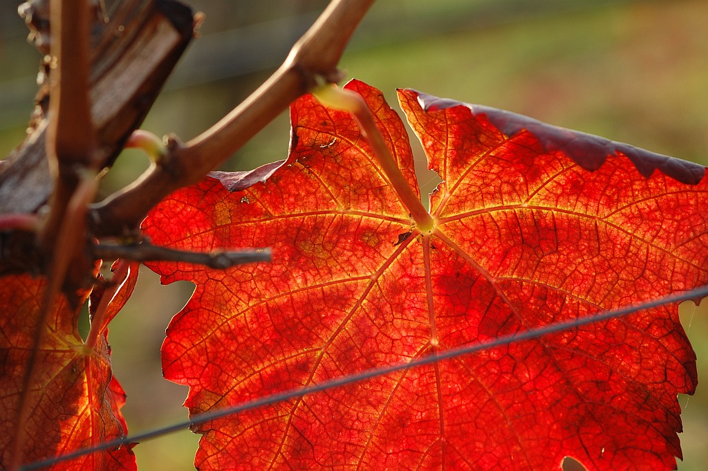 Herbst 03
