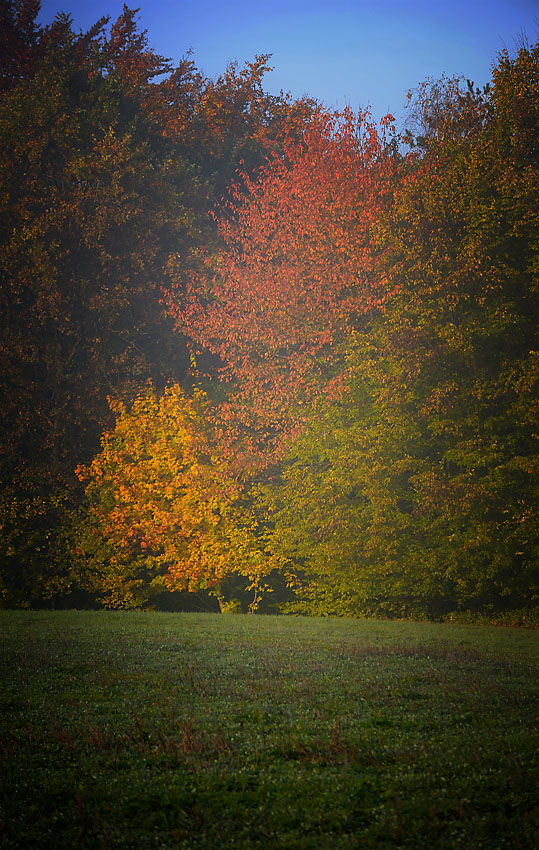 Herbst 07