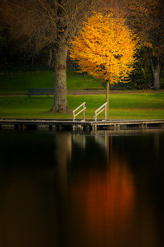 Herbst 08
