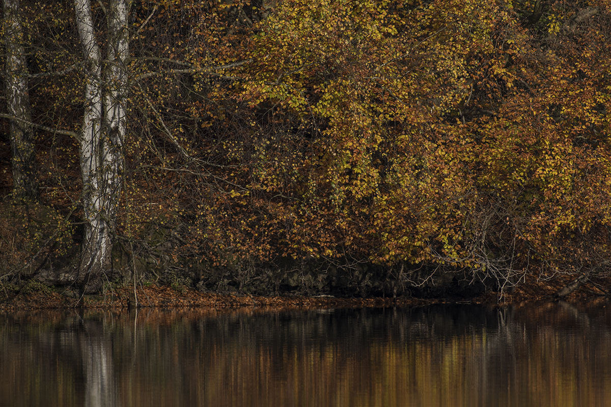 herbst 10