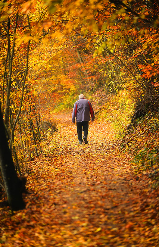Herbst 11