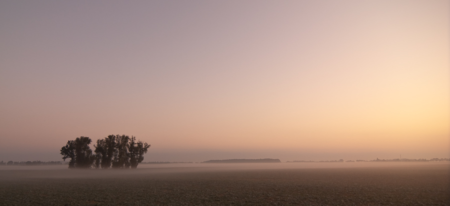 herbst 1198