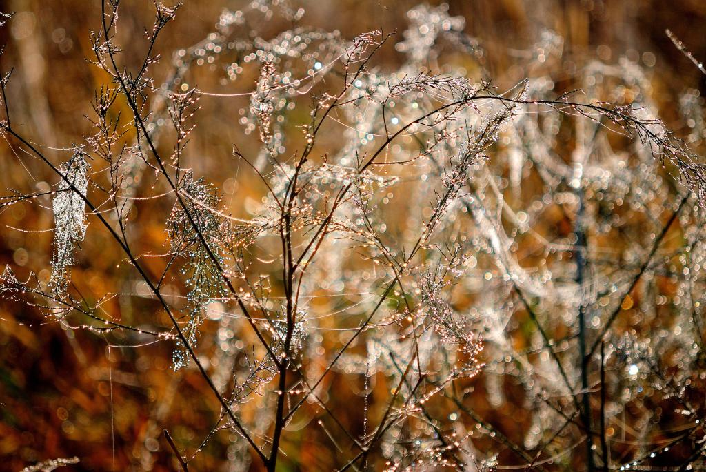 Herbst 122