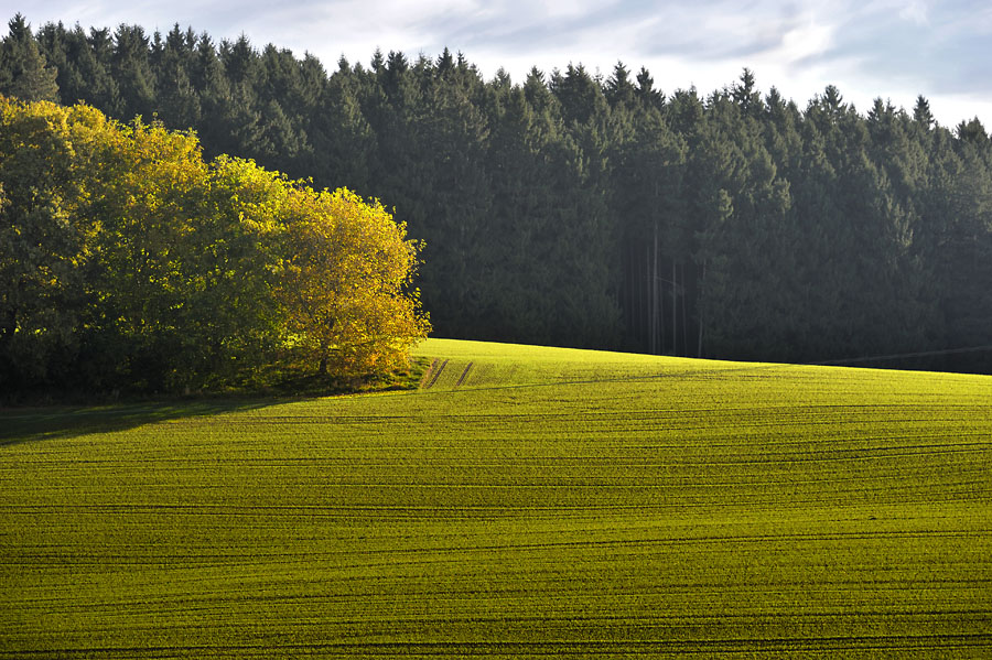 Herbst 15
