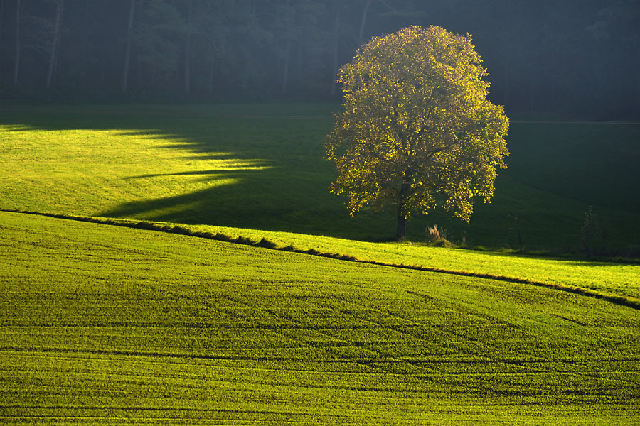Herbst 16