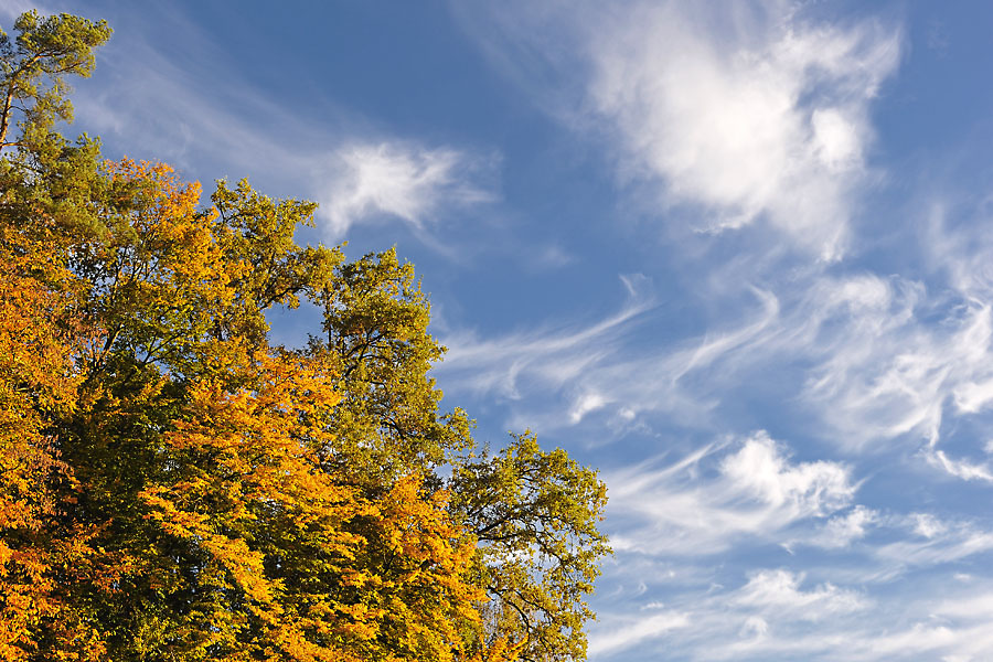 Herbst 19