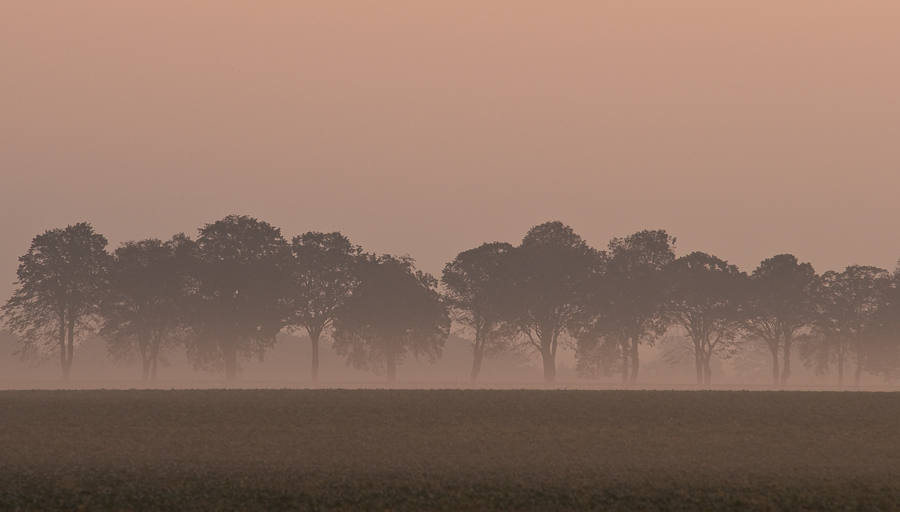 herbst 1977