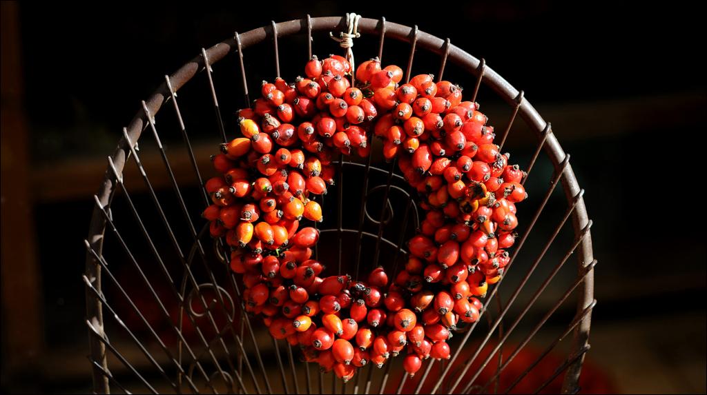 herbst 2 2W