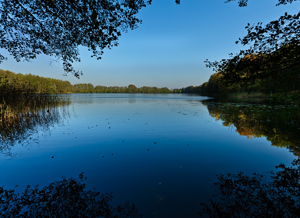 Herbst 2