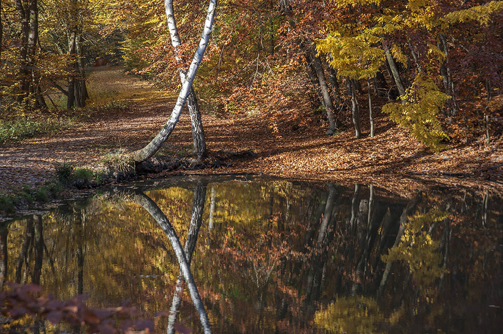 herbst 2