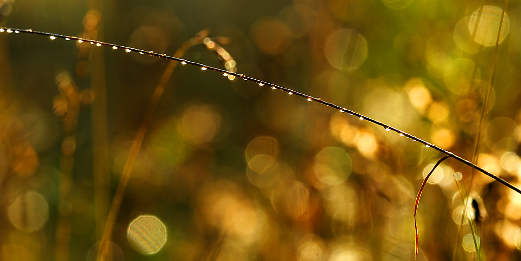Herbst 2