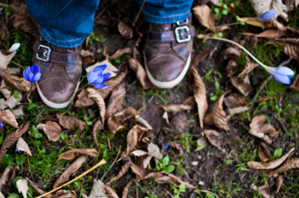 Herbst 2