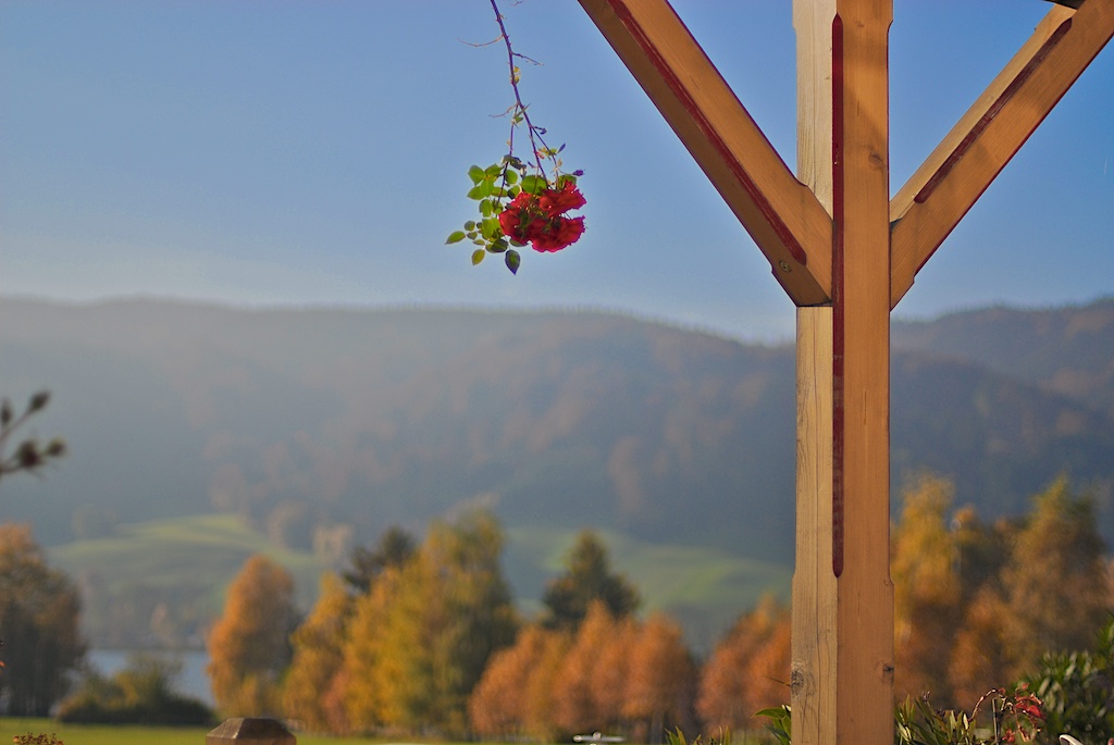 Herbst 2011 3