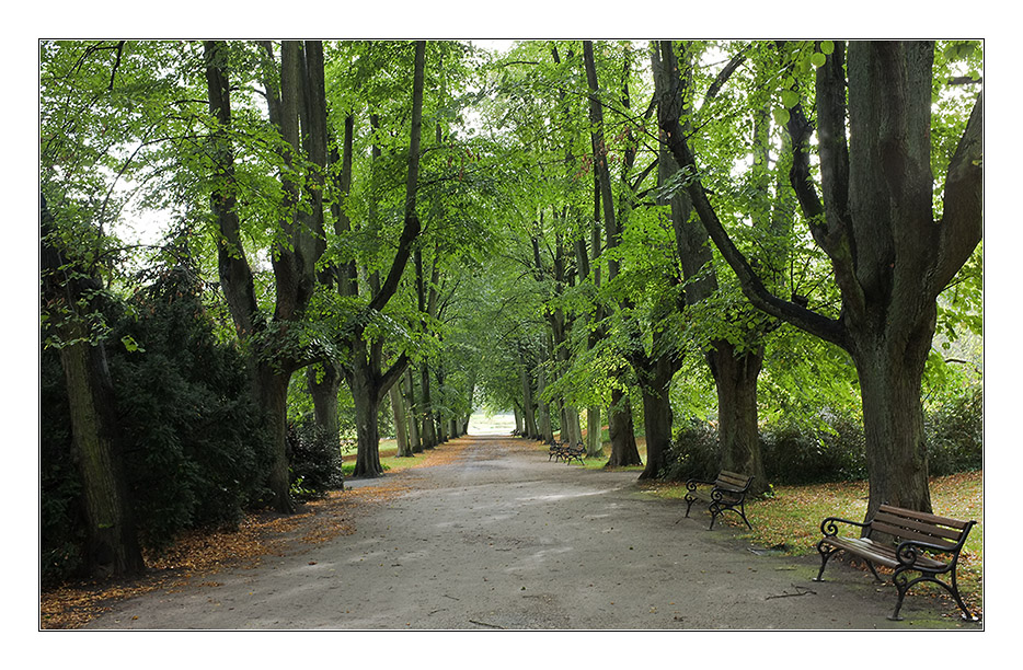 Herbst 2011 Rombergpark 11