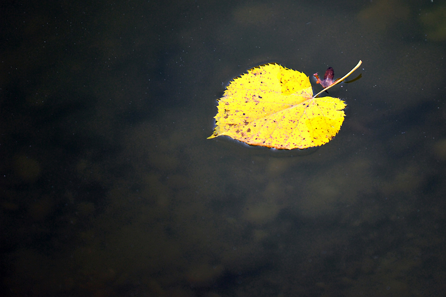 Herbst 22