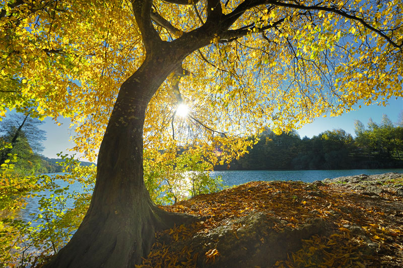 Herbst 24