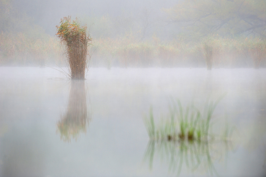 Herbst 26
