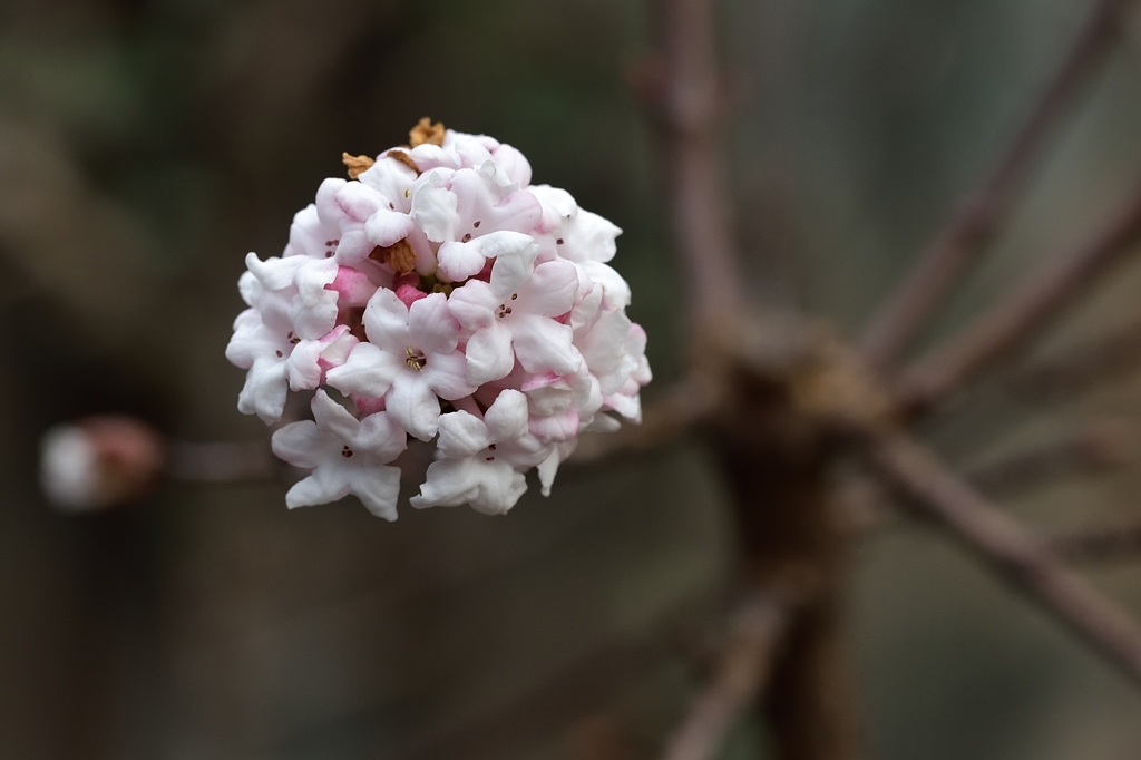 Herbst 3 2014