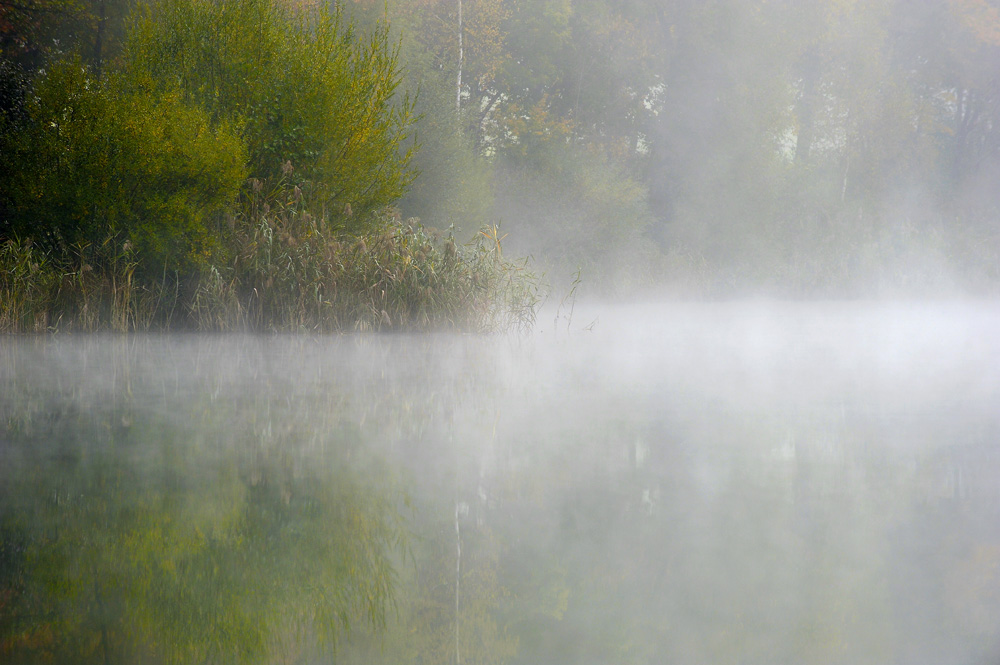 Herbst 31