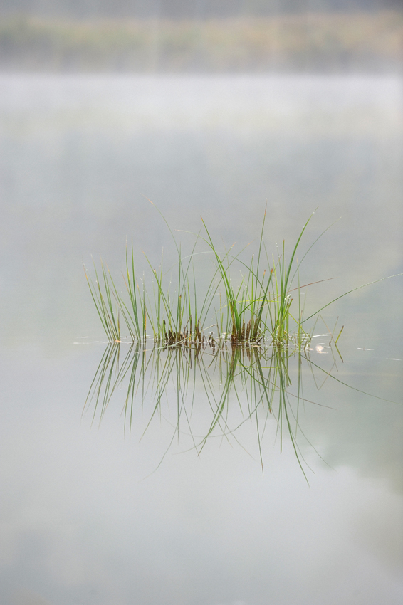 Herbst 32