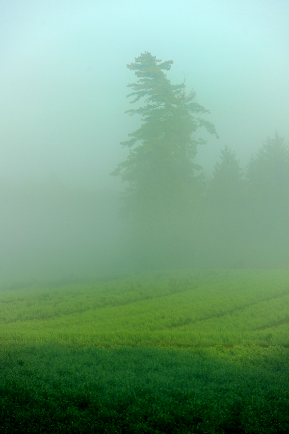 Herbst 35
