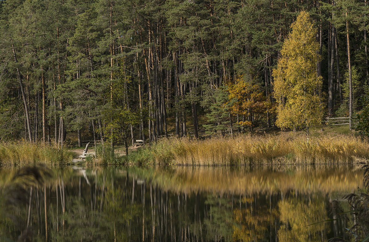 herbst 4