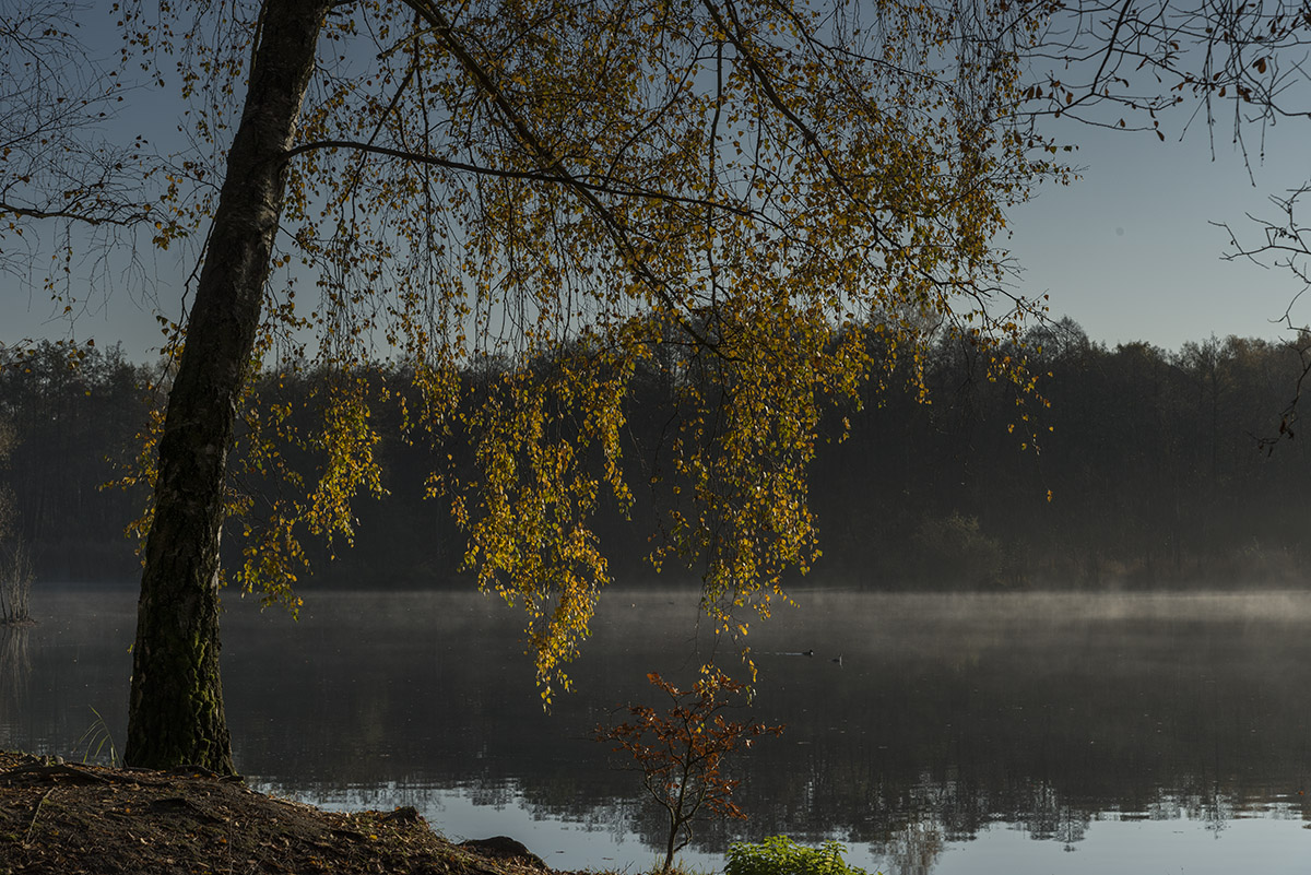 herbst 7