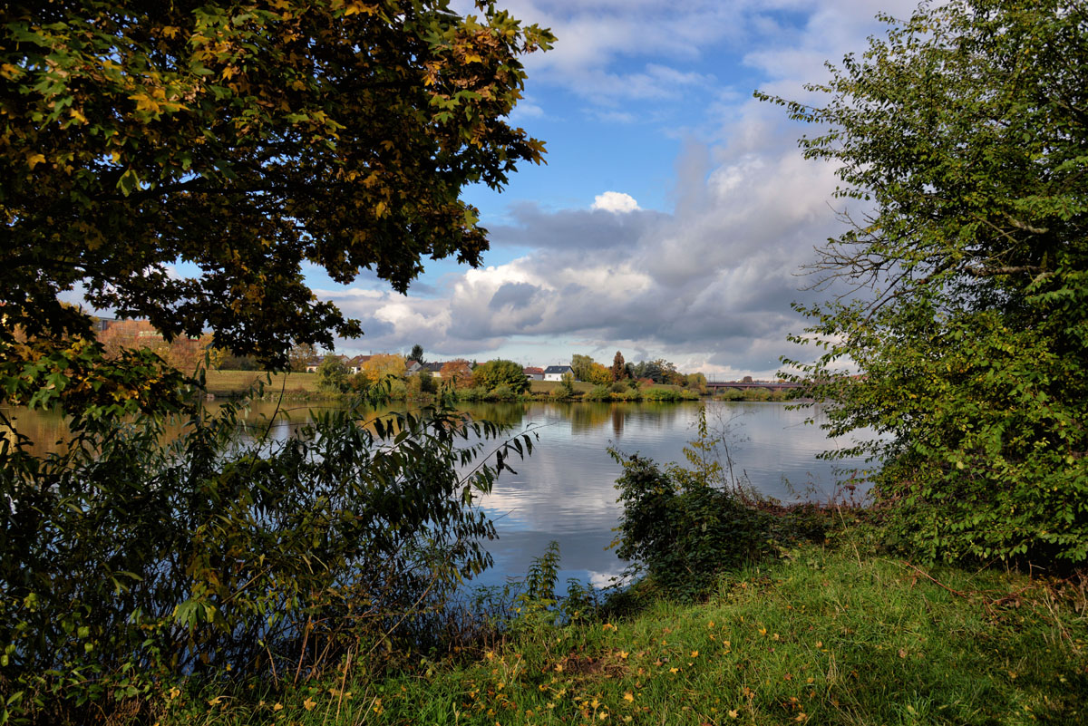 herbst am neckar
